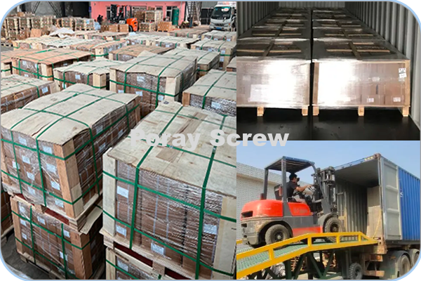 Self-Tapping & Machine Screw: Pan Head Self Tapping Screw, Flat Head Self Tapping Screw, Hex Head Self Tapping Screw, Pan Head Machine Screw, Flat Head Machine Screw, Hex Head Machine Screw as well as other types and Customized Types; Bolt/Nut/Washer: Hex Bolt, Flange Bolt, Hex Nut, Flange Nut as well as other types and Customized Types;