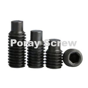 Dog Point Set Screw Dog Point Grub Screw Dog Point Socket Set (Grub) Screws Full Dog Point Set Screws Half Dog Point Set Screw Hex Drive Full Dog Point Black Oxide Finish Alloy Steel Socket Set Screw extended point set screws Dog Point - Hex Socket Set Screws Hexagon socket set screw with dog point Socket Set Screws Full Dog Point Metric Dog Point Set Screws Metric Dog Point Set / Grub Screws Extended-Tip Set Screws Stainless Steel Extended Tip Set Screws Stainless Steel Extended Tip Half Dog Set Screws Hex Drive Half Dog Point Black Oxide Finish Alloy Steel Socket Set Screw Metric Square-Head Extended-Tip Set Screws