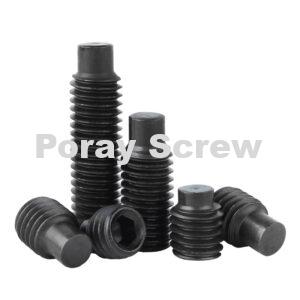 Dog Point Set Screw Dog Point Grub Screw Dog Point Socket Set (Grub) Screws Full Dog Point Set Screws Half Dog Point Set Screw Hex Drive Full Dog Point Black Oxide Finish Alloy Steel Socket Set Screw extended point set screws Dog Point - Hex Socket Set Screws Hexagon socket set screw with dog point Socket Set Screws Full Dog Point Metric Dog Point Set Screws Metric Dog Point Set / Grub Screws Extended-Tip Set Screws Stainless Steel Extended Tip Set Screws Stainless Steel Extended Tip Half Dog Set Screws Hex Drive Half Dog Point Black Oxide Finish Alloy Steel Socket Set Screw Metric Square-Head Extended-Tip Set Screws